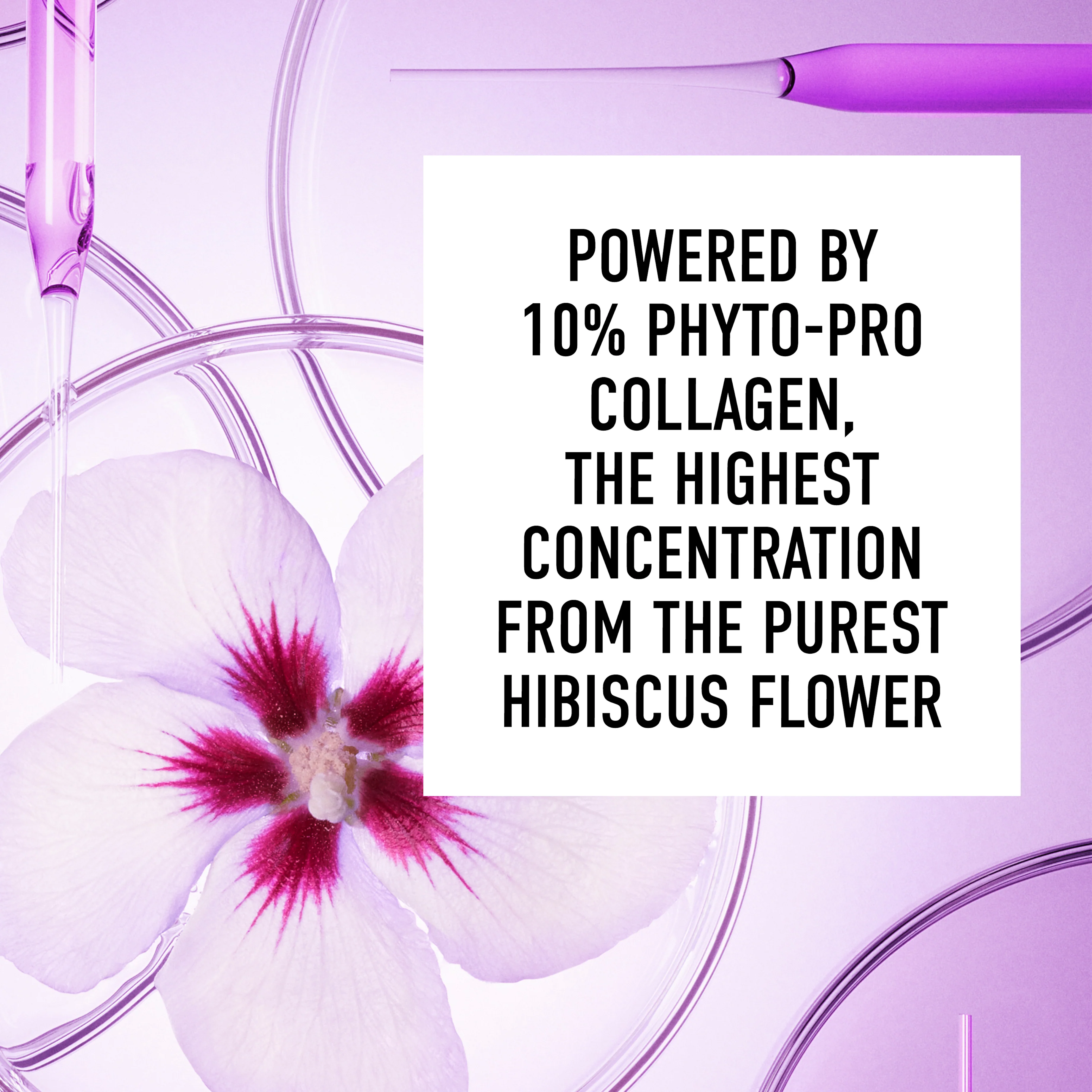 AGELESS 10% Phyto ProCollagen Firming Sleeping Mask - Image 3
