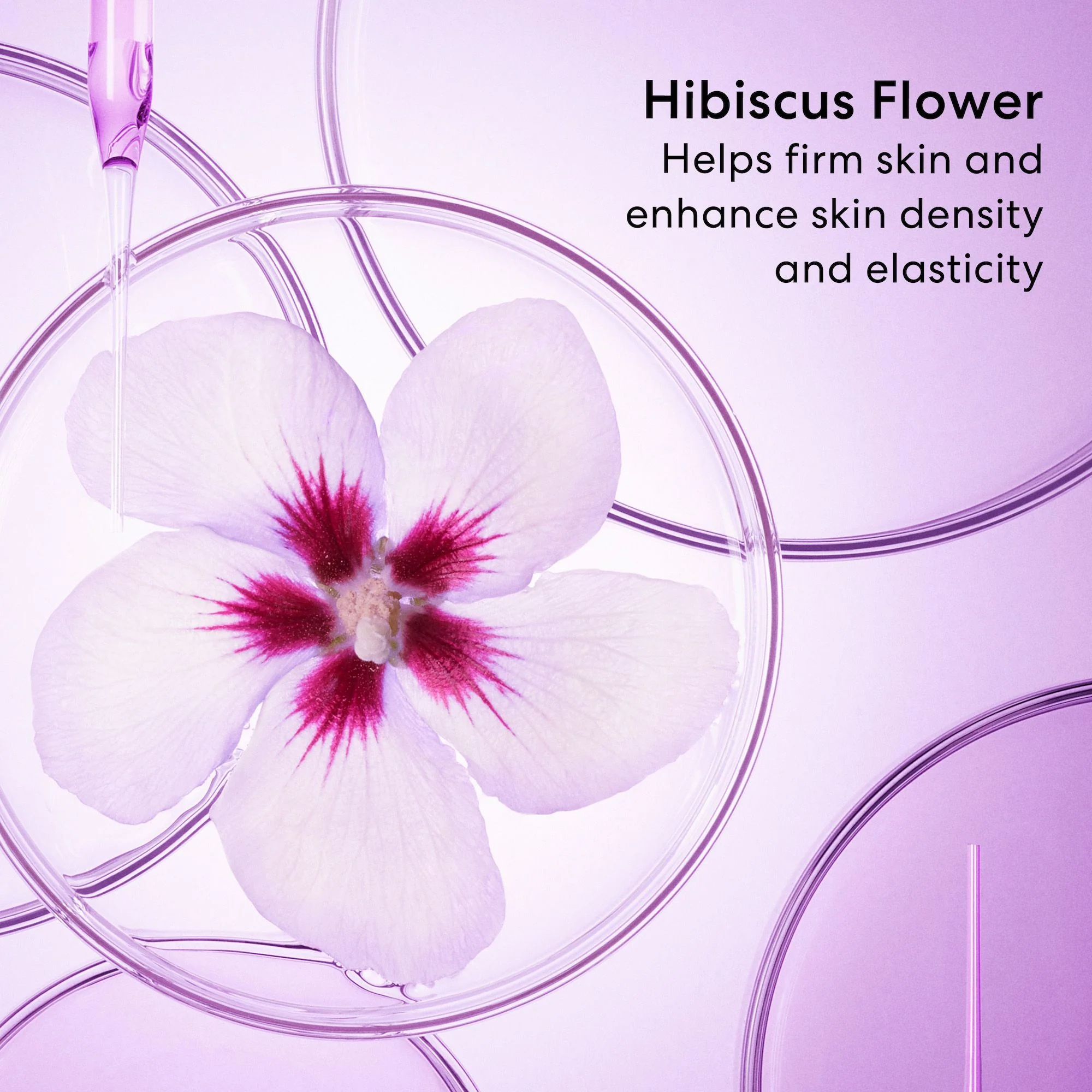 AGELESS 10% Phyto ProCollagen Firming Sleeping Mask - Image 5